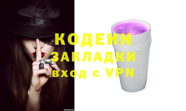 спиды Вяземский